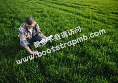 探索体育世界的魅力 - 爱游戏