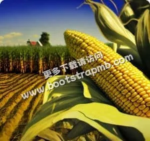 关注体育公平，享受竞技乐趣 - 爱游戏