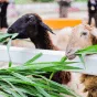 探索体育世界的魅力 - 爱游戏